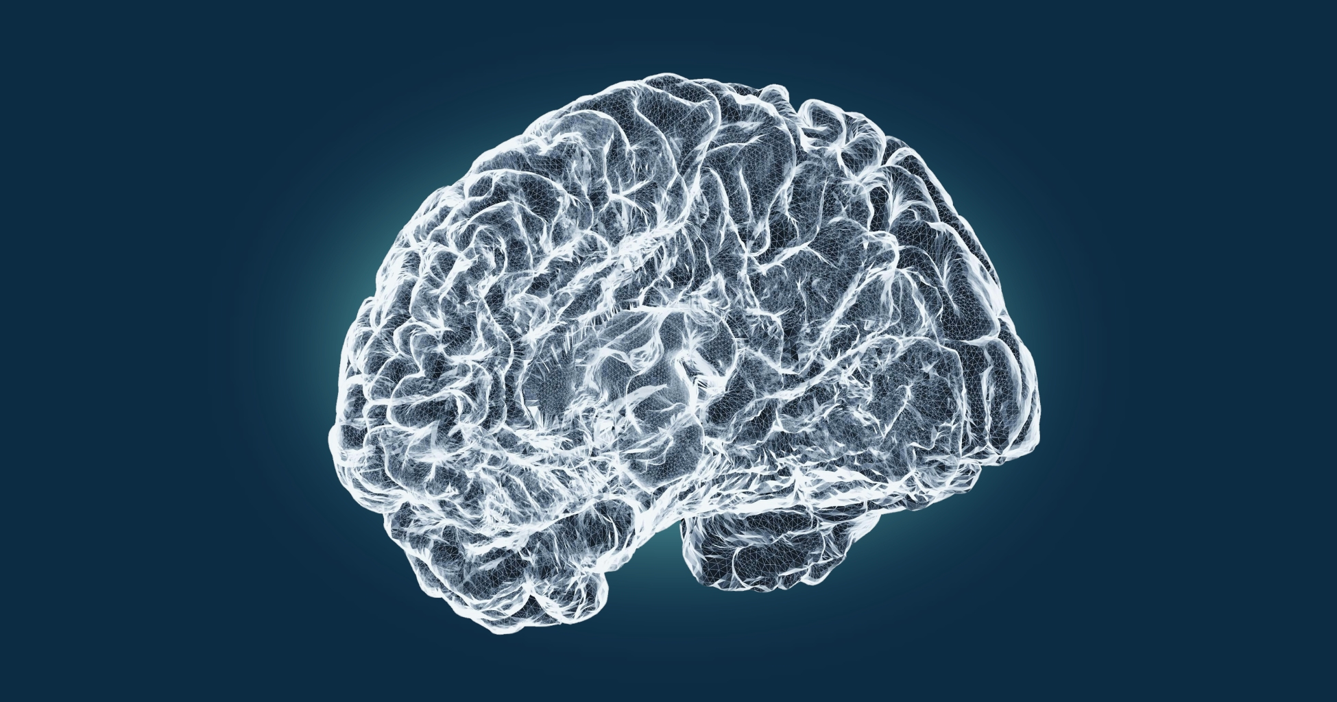 White brain illustration on a dark blue background.